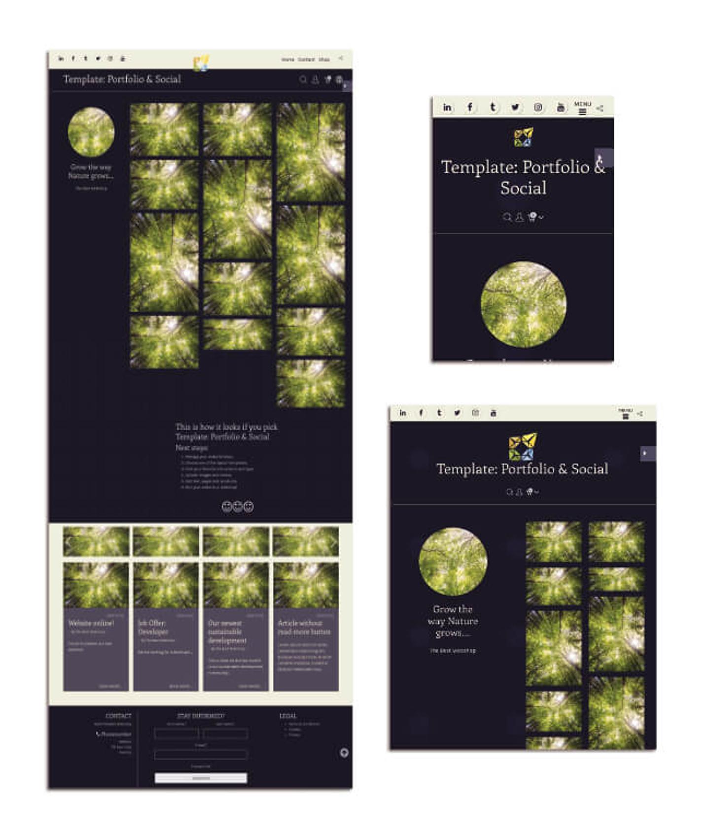 portfolio-and-social.jpg